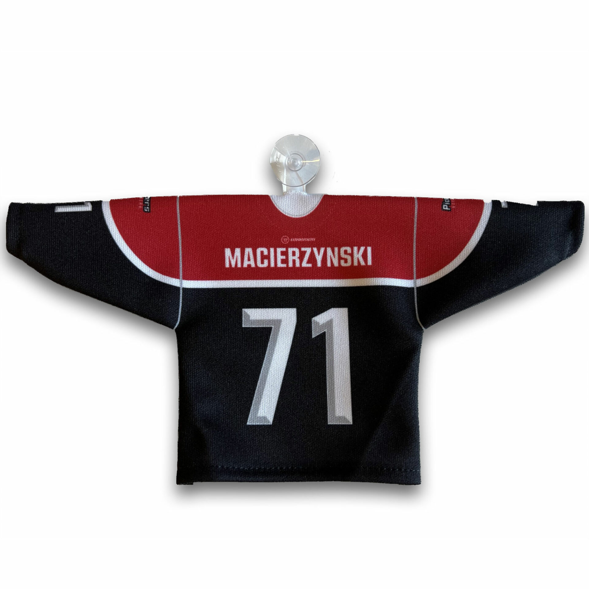 Pioneers-Vorarlberg-Minitrikot-Home-Edition-One-back