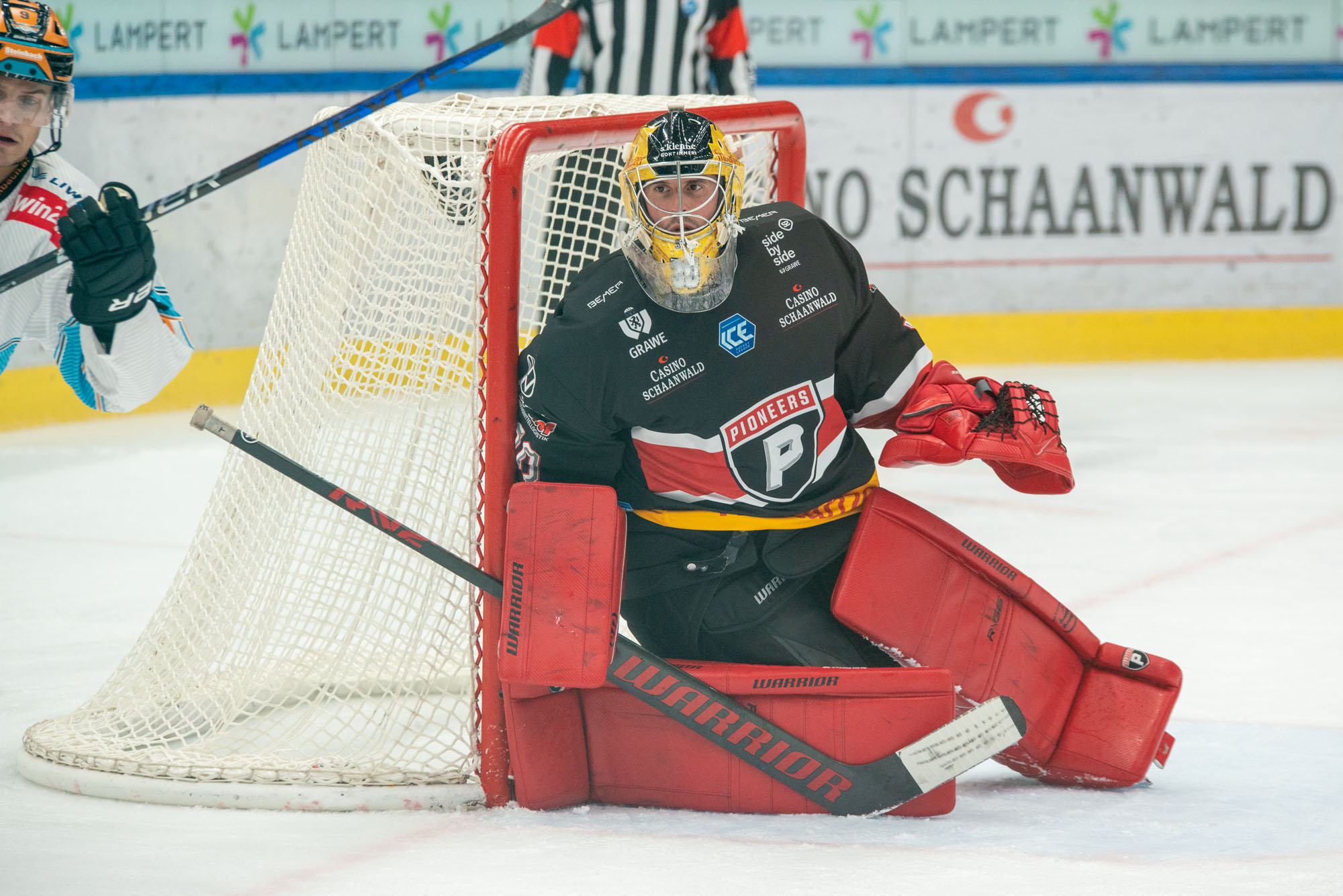 41 Sieg der BEMER Pioneers gegen die Blackwings Linz