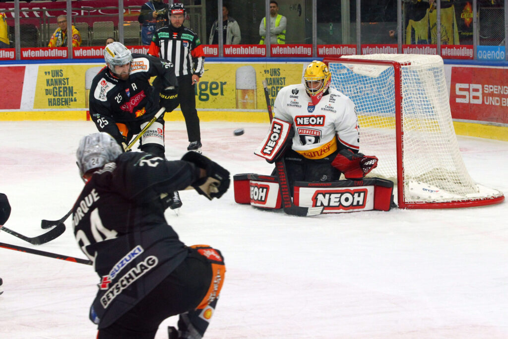 Pioneers holen sich verdienten Punkt in Wien..